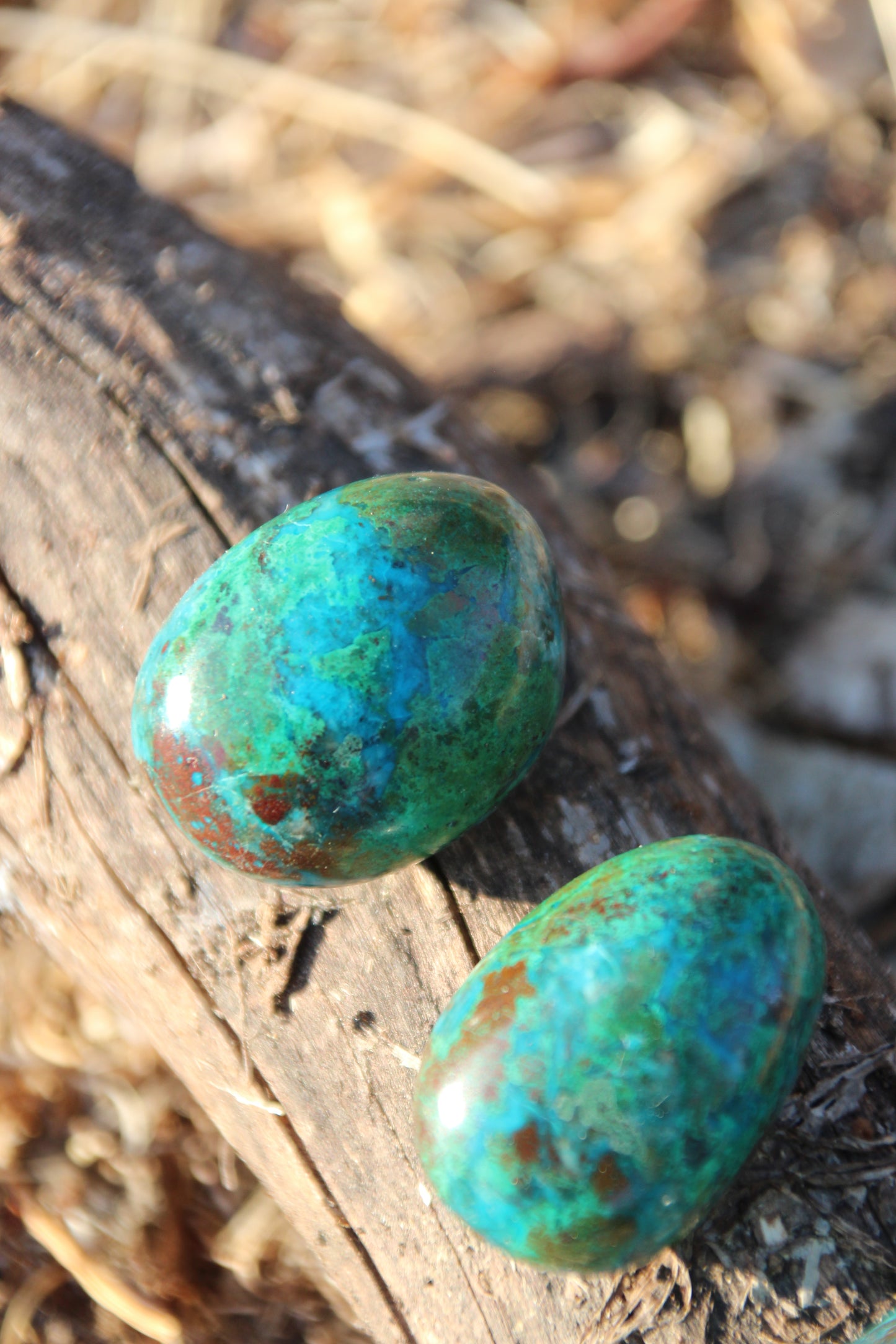 High Quality Chrysocolla Warrior 'VOICE OF STRENGTH'