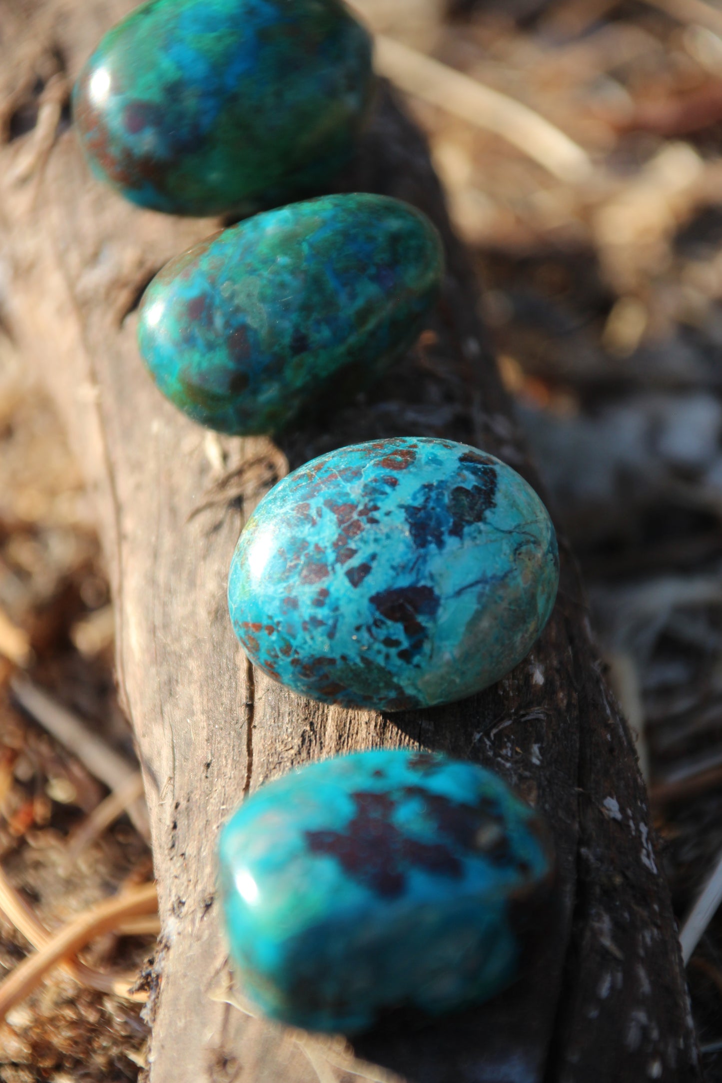 High Quality Chrysocolla Warrior 'VOICE OF STRENGTH'