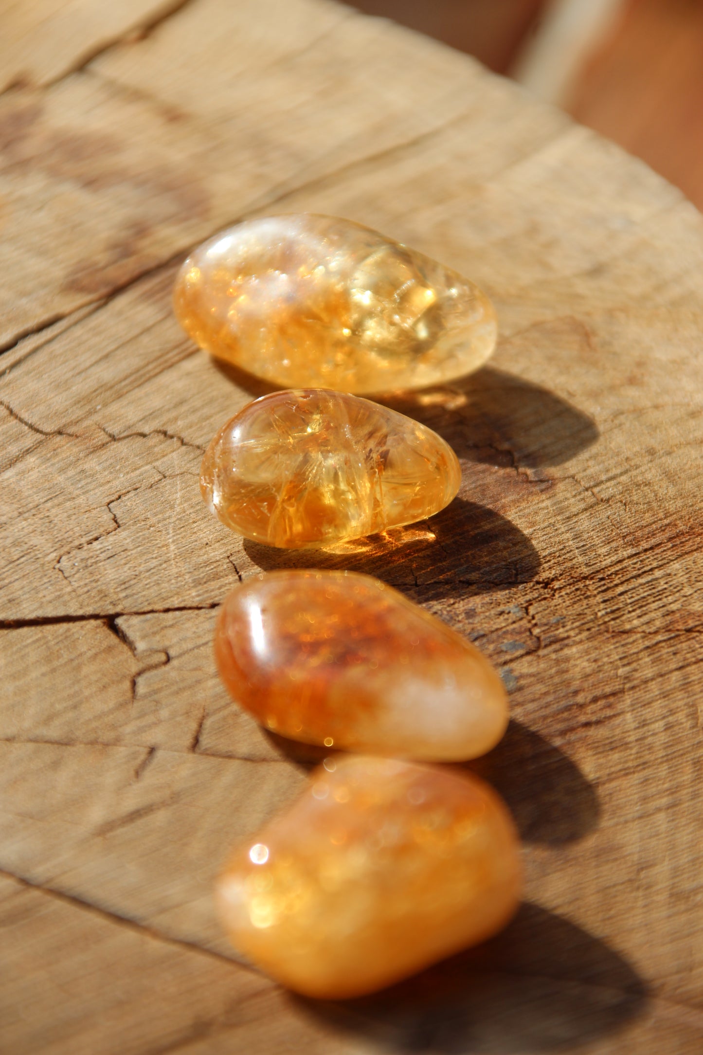Citrine Warrior 'RADIANT MANIFESTOR✨'