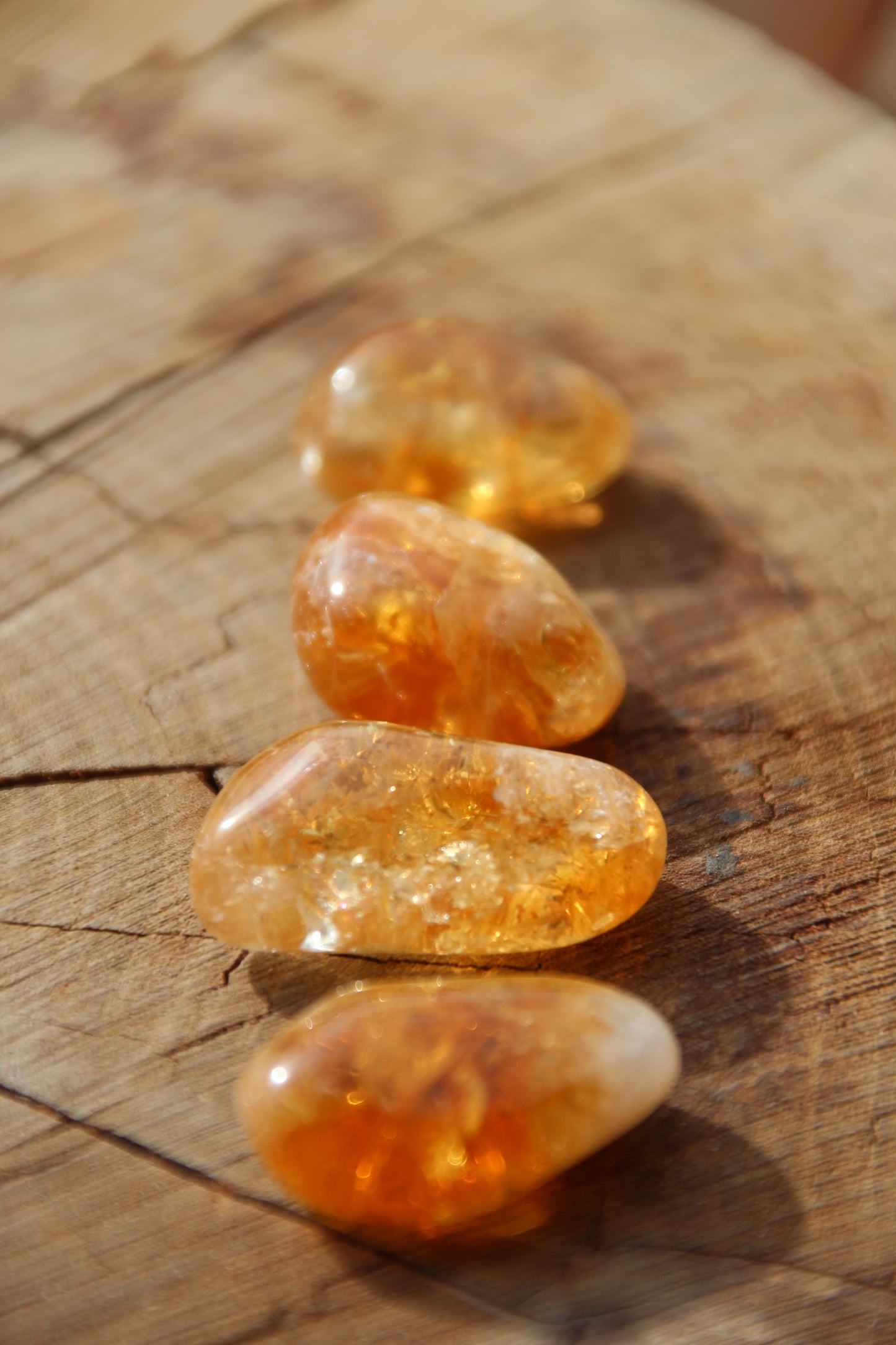 Citrine Warrior 'RADIANT MANIFESTOR✨'