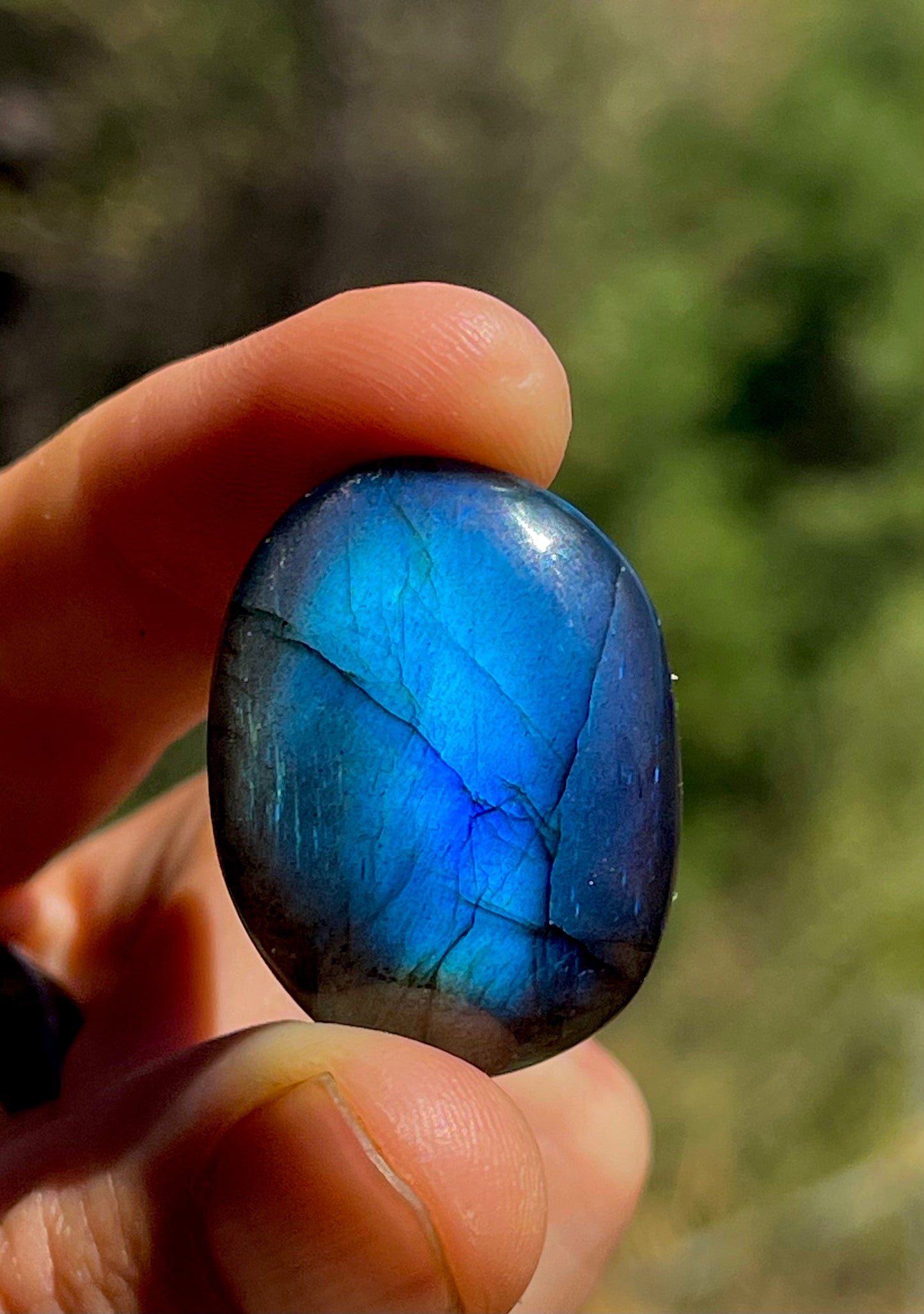 🎁 Brown Labradorite Mystic 'SHIELD OF LIGHT' (50% off)