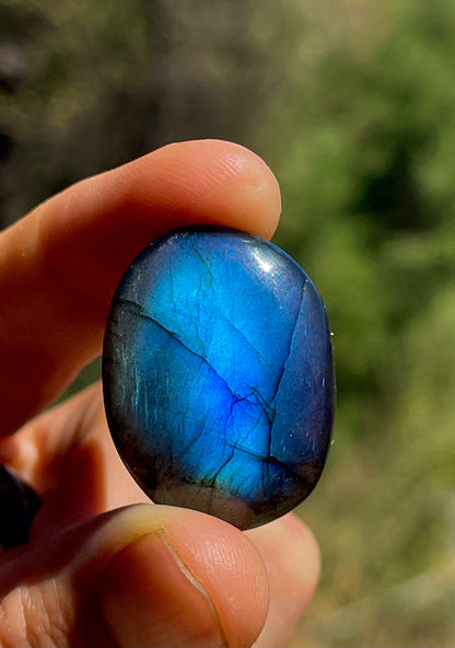 🎁 Brown Labradorite Mystic 'SHIELD OF LIGHT' (50% off)