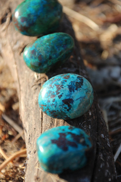 High Quality Chrysocolla Warrior 'VOICE OF STRENGTH'
